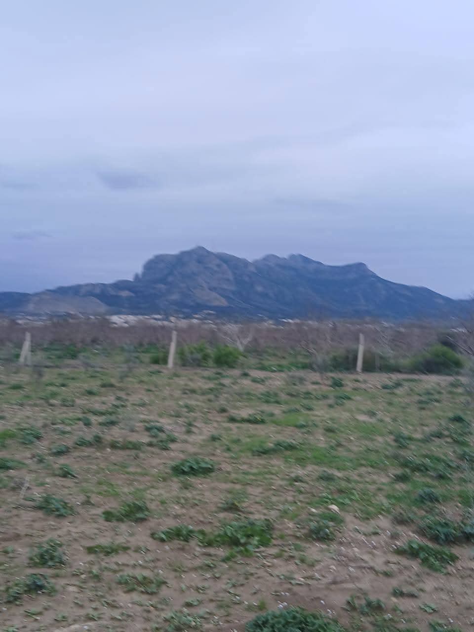 Terrain&nbsp;Terrain agricole