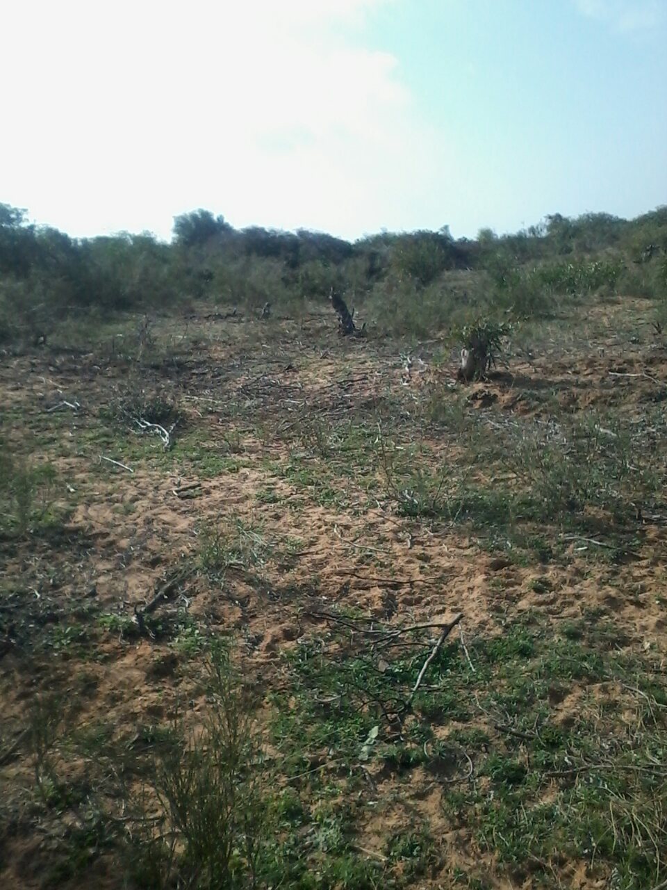 Terrain&nbsp;Terrain nu