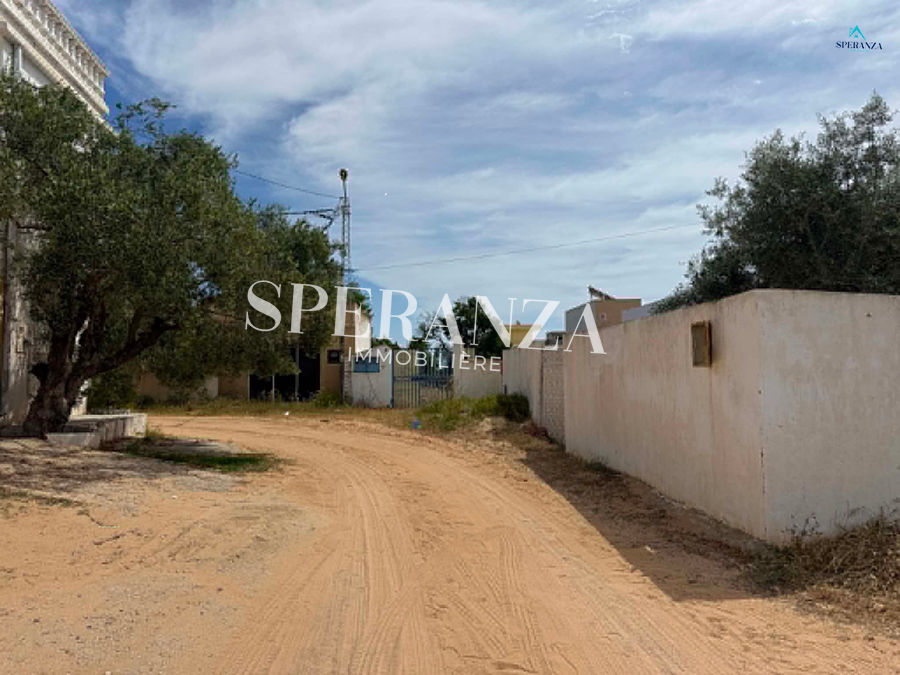 Hammamet&nbsp;Hammamet&nbsp;Vente&nbsp;Surfaces&nbsp;Terrain olivaire