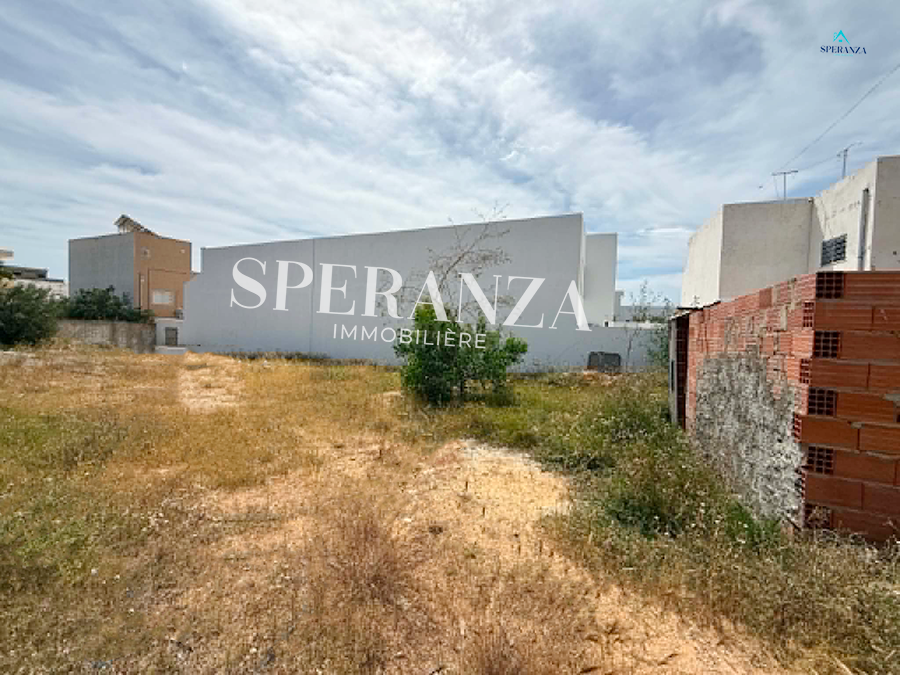 Hammamet&nbsp;Hammamet&nbsp;Vente&nbsp;Surfaces&nbsp;Terrain olivaire