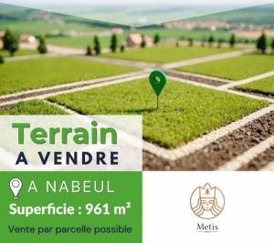 Vente&nbsp;Surfaces