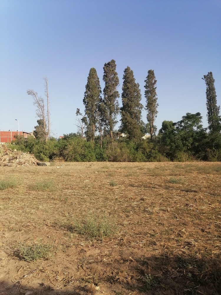 Nabeul&nbsp;Cite Industrielle&nbsp;Terrain&nbsp;Terrain nu&nbsp;Terrain nu pour habitation m�trage 398m2