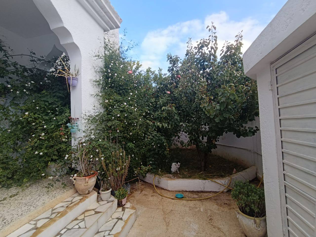 Hammam Lif&nbsp;Cite De La Municipalite&nbsp;Vente&nbsp;Maisons&nbsp;Une maison spacieuse