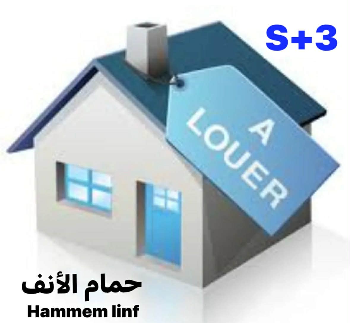 Location&nbsp;Appart. 3 pi�ces