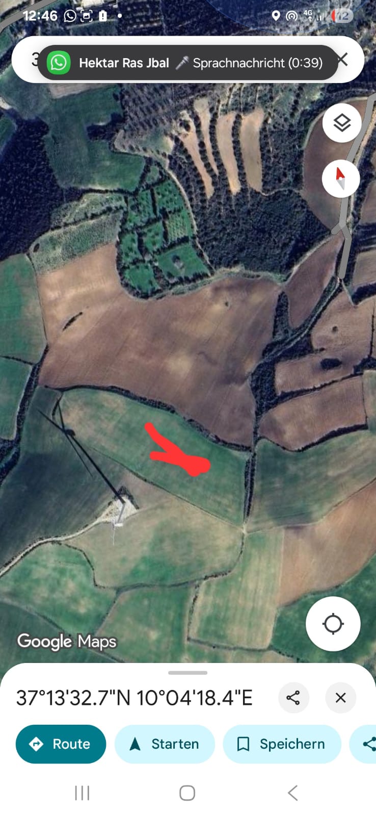 Terrain&nbsp;Terrain nu