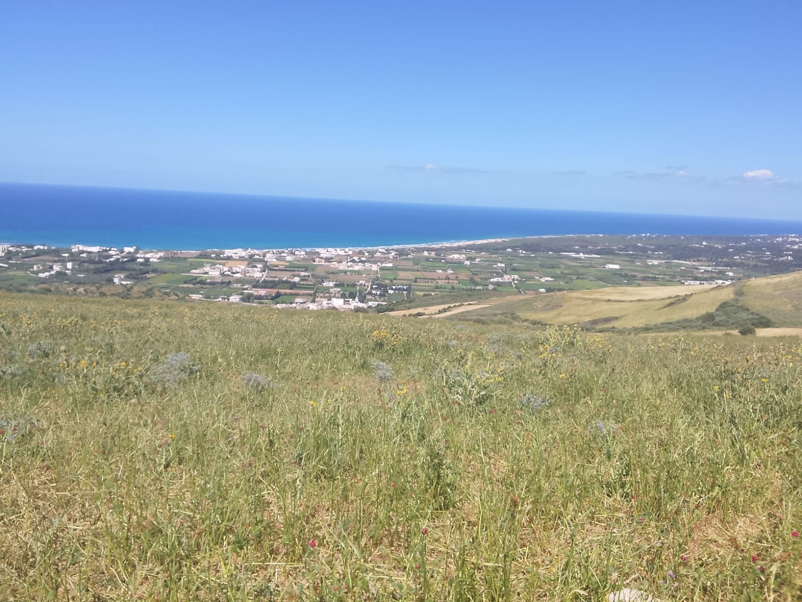 Terrain&nbsp;Terrain nu
