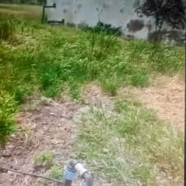 Testour&nbsp;Esslouguia&nbsp;Terrain&nbsp;Terrain agricole&nbsp;6 hectares goutte a goutte