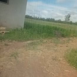 Testour&nbsp;Esslouguia&nbsp;Terrain&nbsp;Terrain agricole&nbsp;6 hectares goutte a goutte