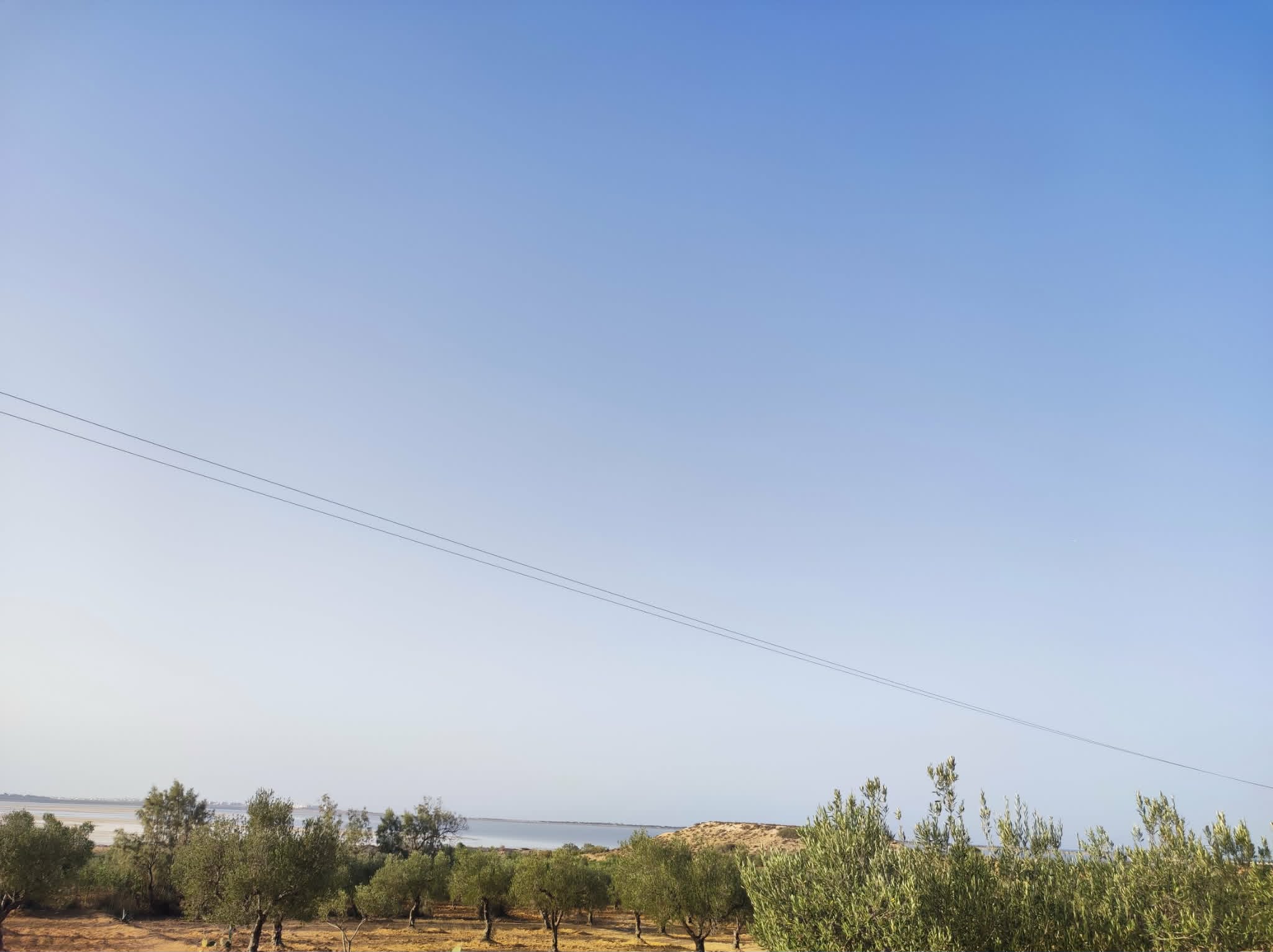 Terrain&nbsp;Terrain agricole