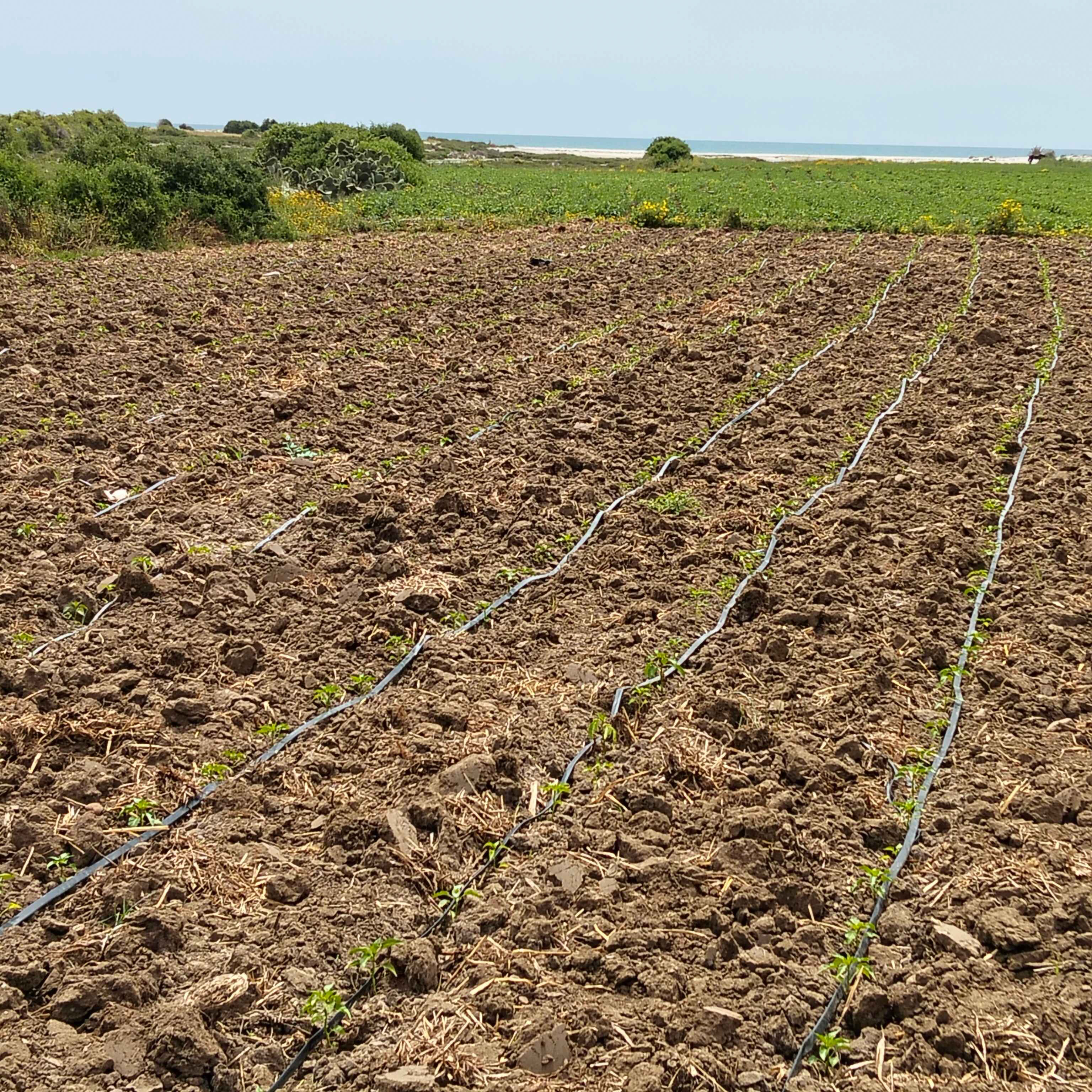 Terrain&nbsp;Terrain agricole
