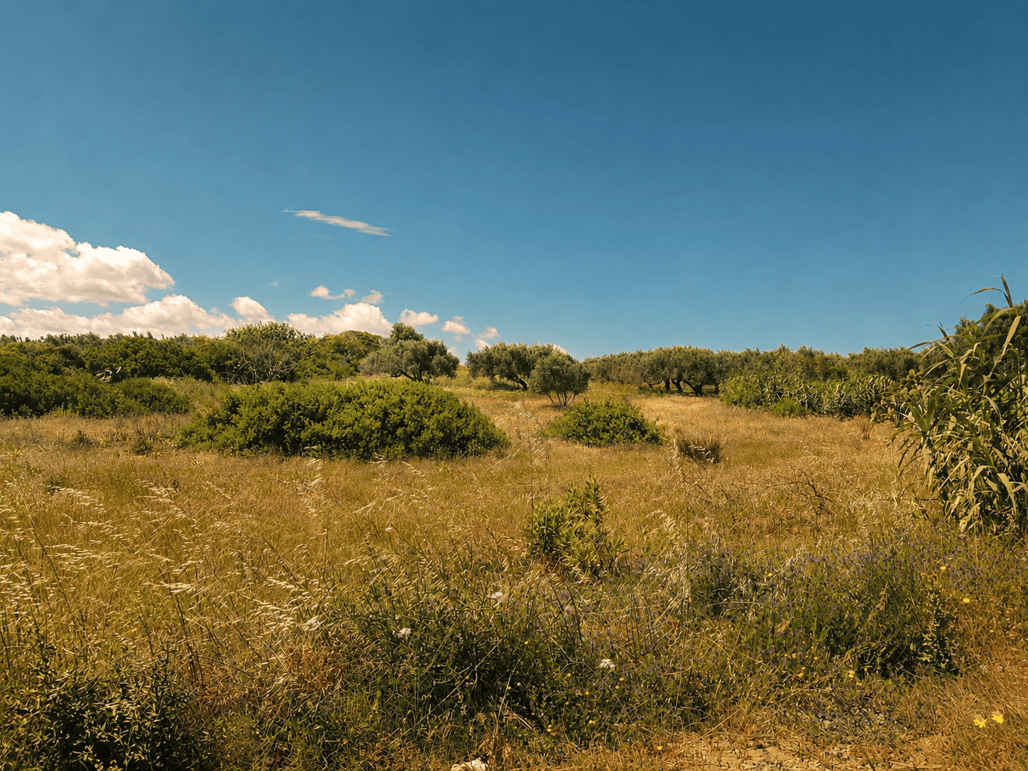 Terrain&nbsp;Terrain nu