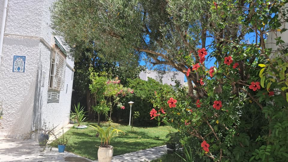 Location&nbsp;Appart. 3 pi�ces