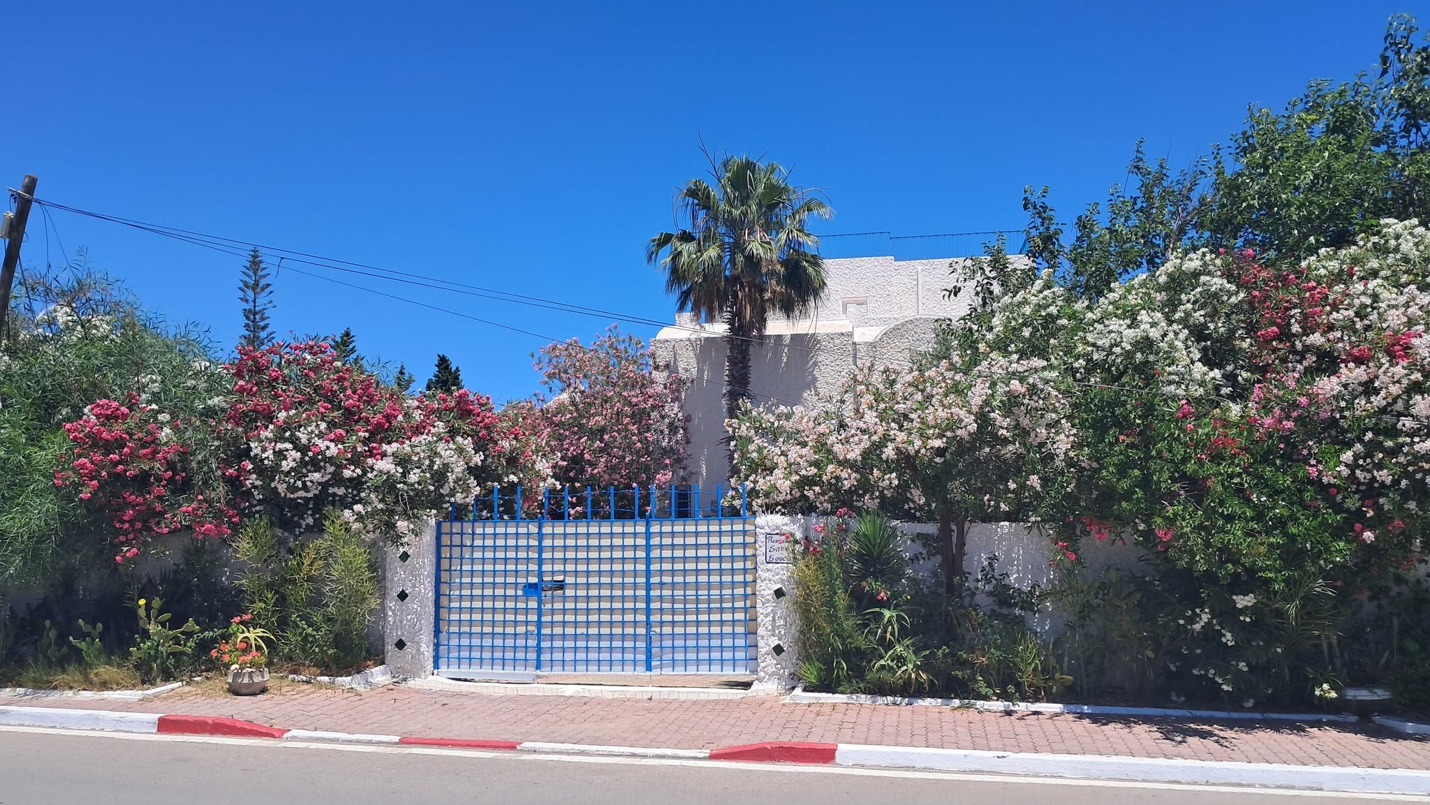 Location&nbsp;Appart. 1 pi�ce