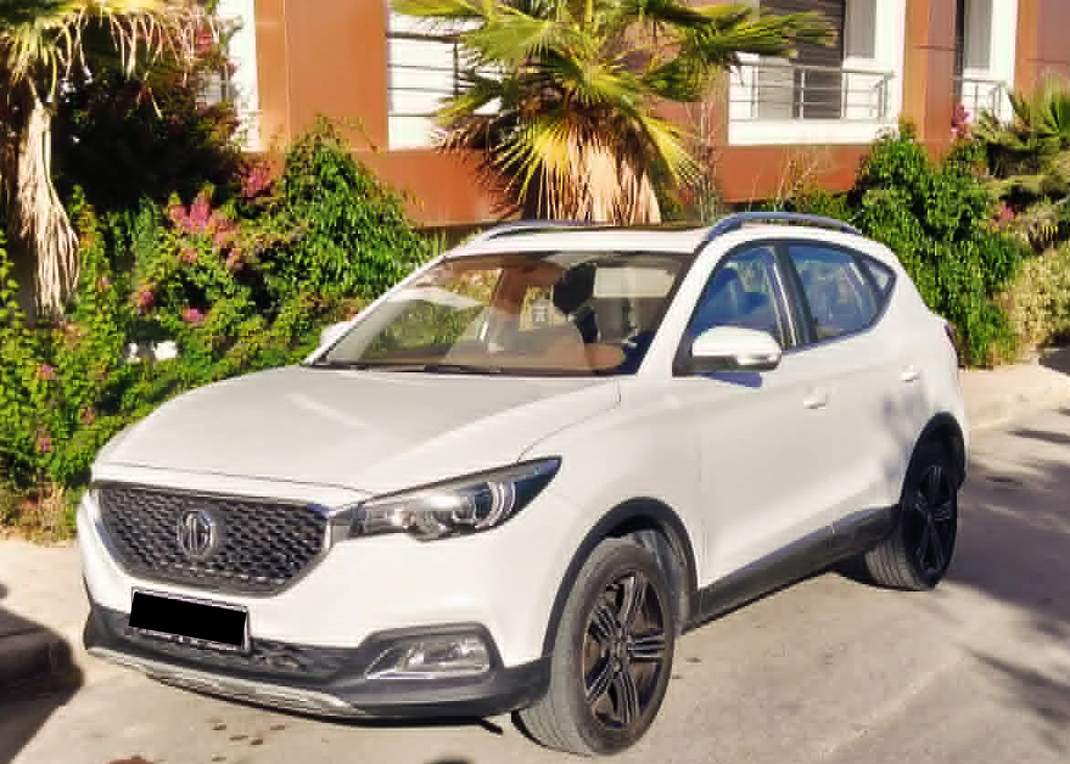Mg&nbsp;ZS
