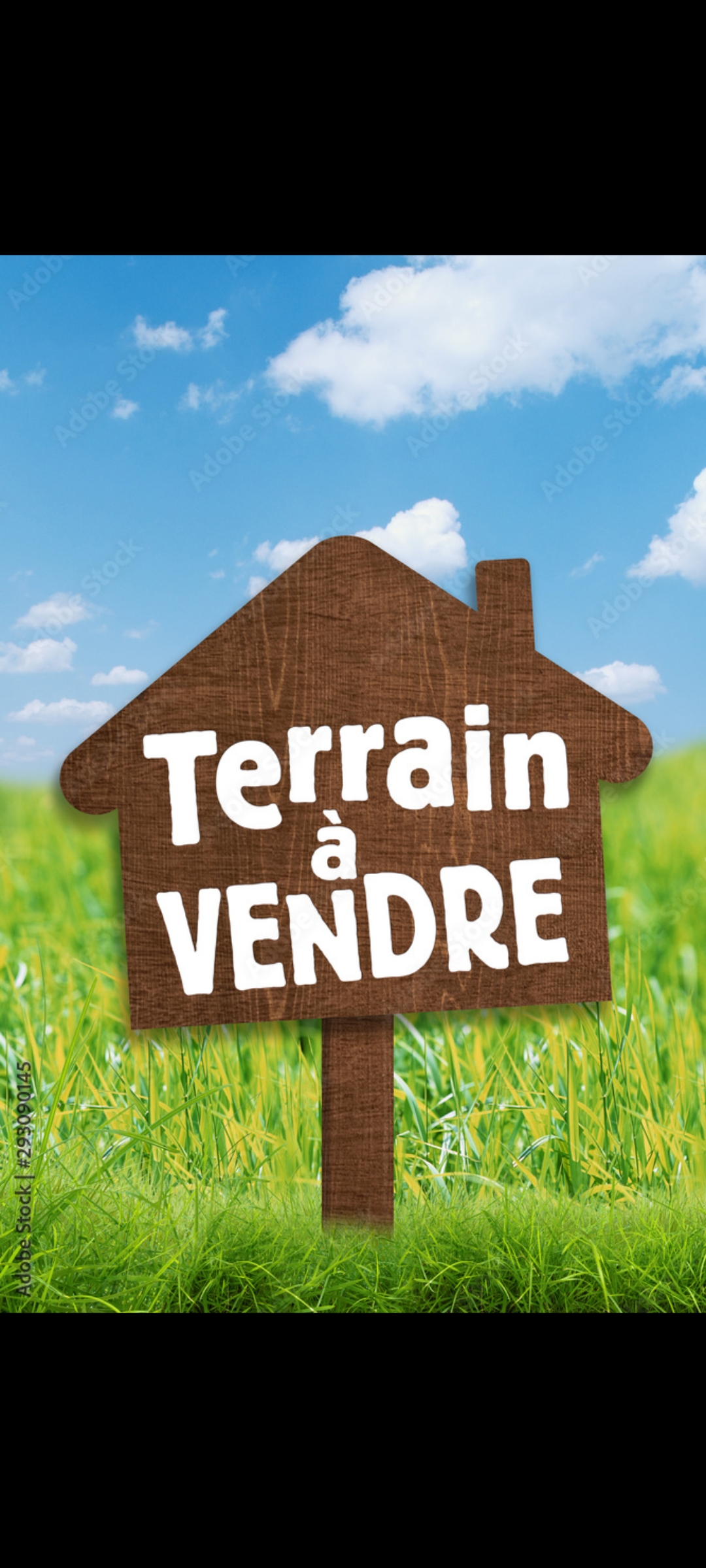 Terrain&nbsp;Terrain nu