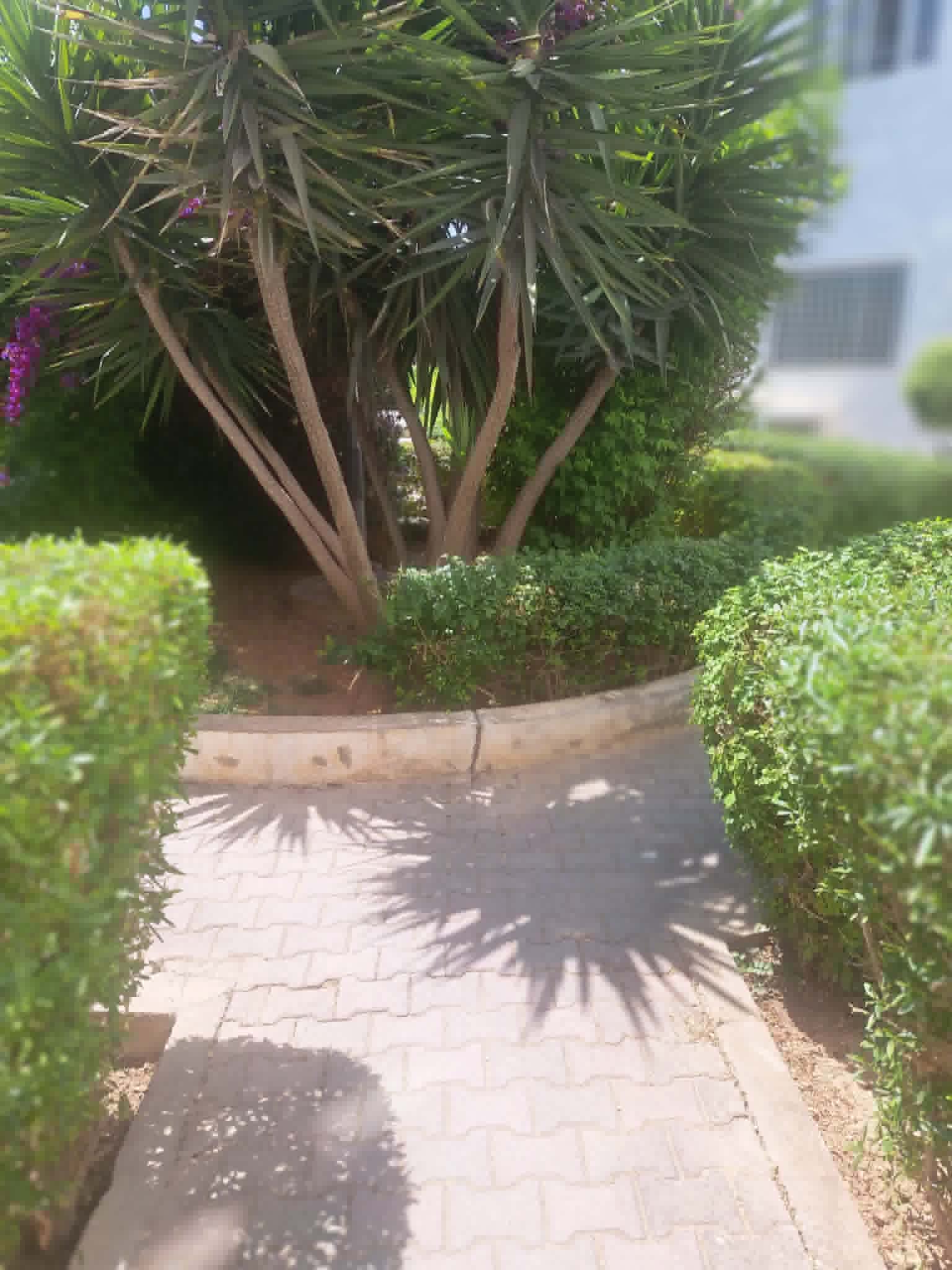 Location&nbsp;Appart. 3 pi�ces