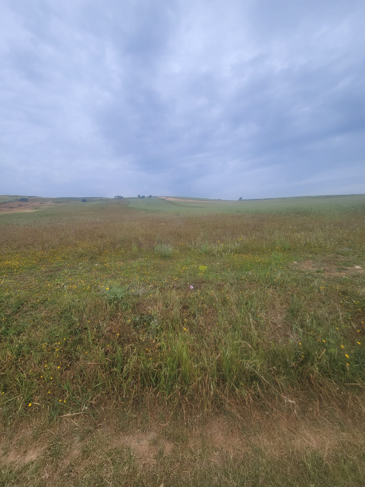 Terrain&nbsp;Terrain agricole