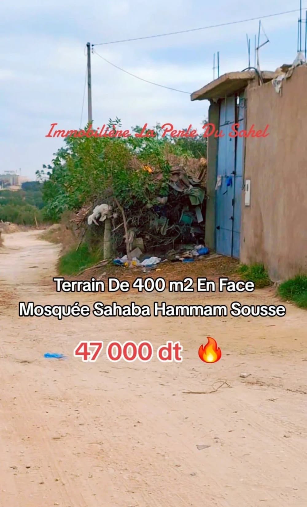 Terrain&nbsp;Terrain nu