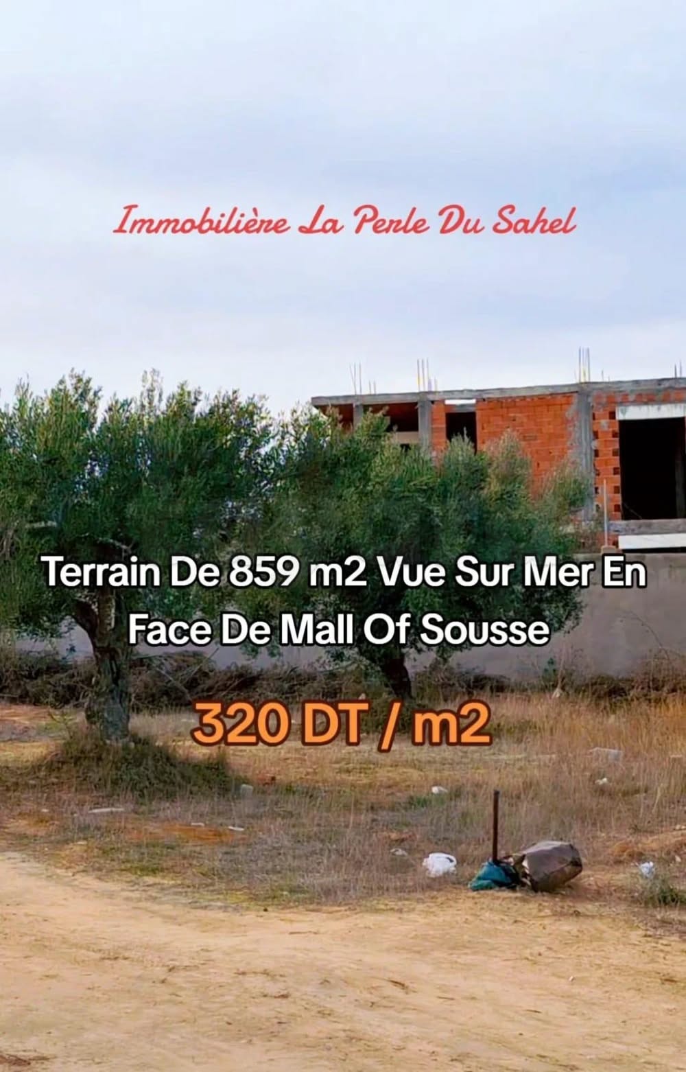 Terrain&nbsp;Terrain nu
