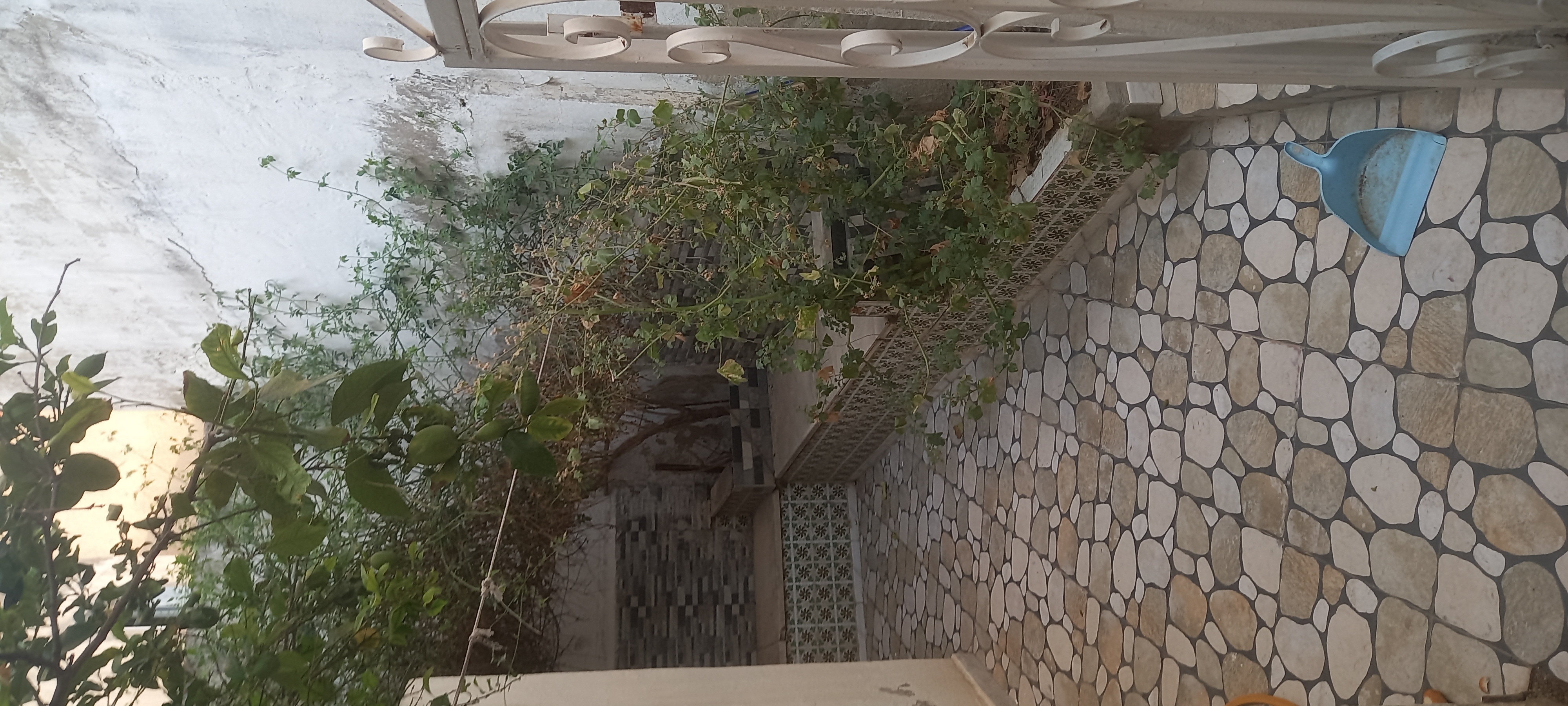 Location&nbsp;Appart. 1 pi�ce