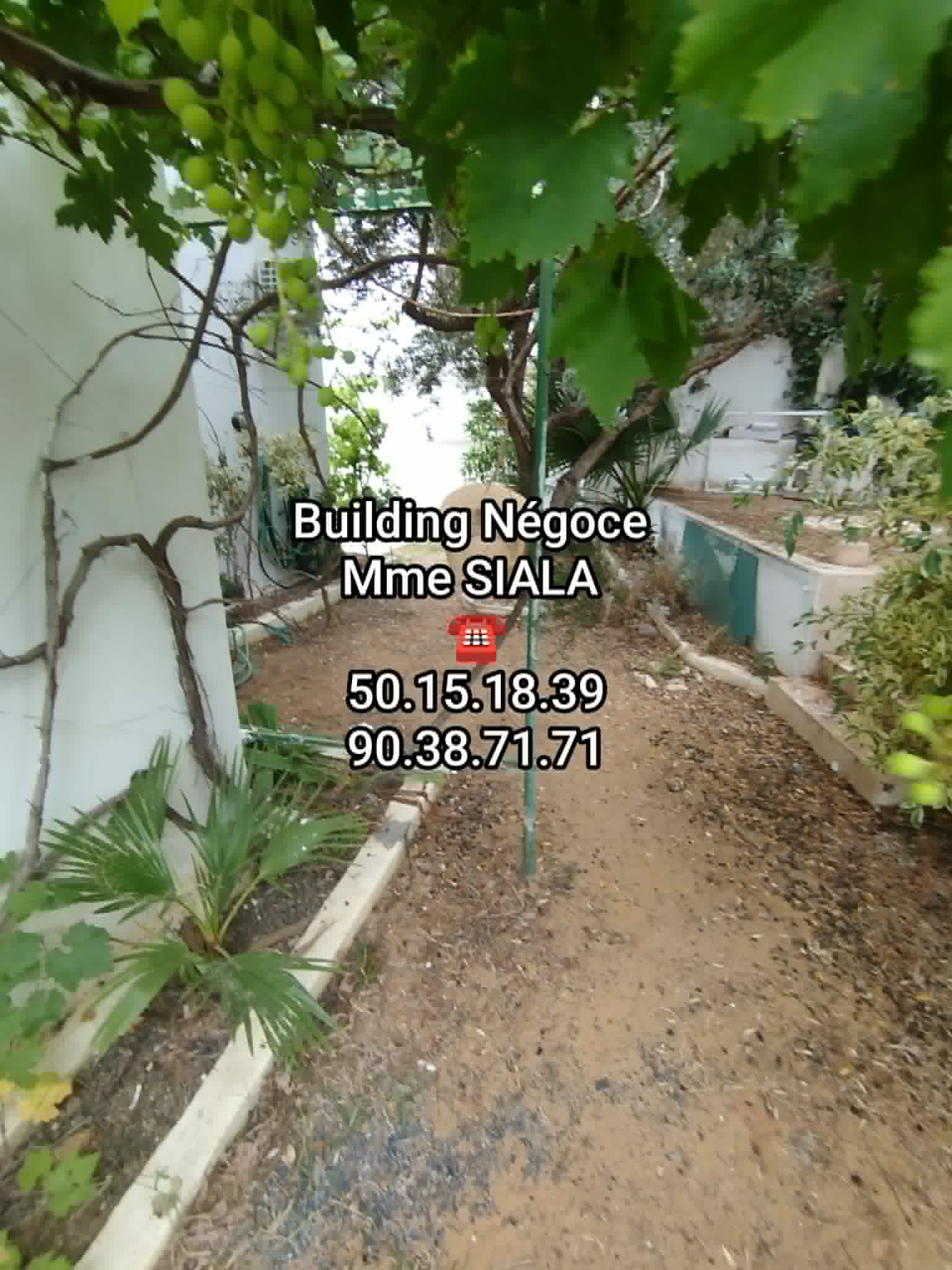 Ariana Ville&nbsp;Cite Ennasr 2&nbsp;Location&nbsp;Appart. 5 pi�ces+&nbsp;Ennasr 2 appt s4 avec grand jardin