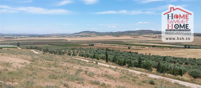 Mejez El Bab&nbsp;Mejez El Bab&nbsp;Terrain&nbsp;Terrain agricole&nbsp;Terrain agricole neragro � mjez el beb