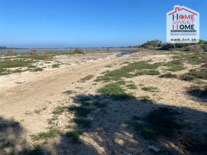 Hammam El Ghezaz&nbsp;Hammam El Ghezaz&nbsp;Terrain&nbsp;Terrain agricole&nbsp;Terrain agricole duovia � hammam ghez�ze