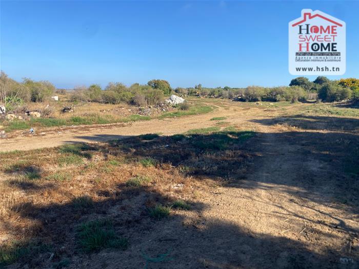 Hammam El Ghezaz&nbsp;Hammam El Ghezaz&nbsp;Terrain&nbsp;Terrain agricole&nbsp;Terrain agricole duovia � hammam ghez�ze