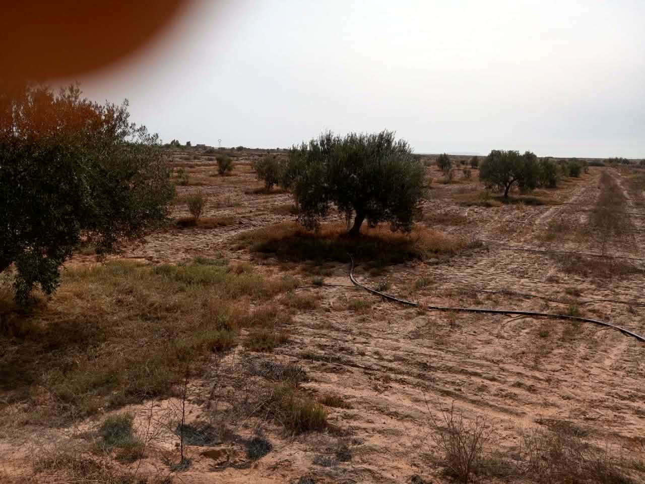 Terrain&nbsp;Terrain agricole