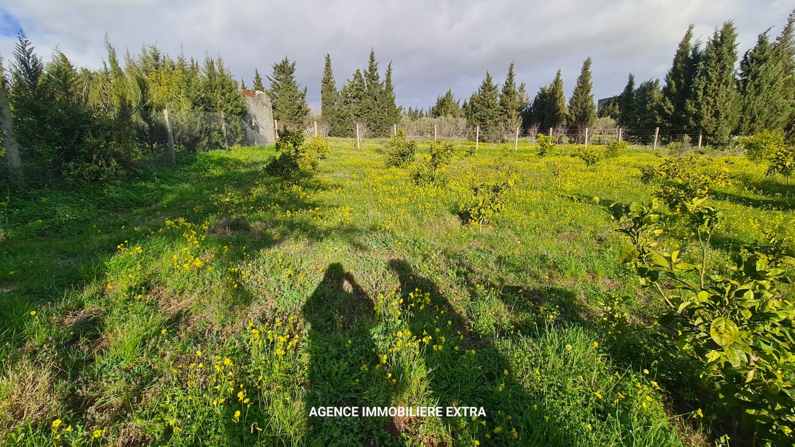 Beni Khiar&nbsp;Ghardaya&nbsp;Terrain&nbsp;Terrain agricole&nbsp;Campagne � ghardaya