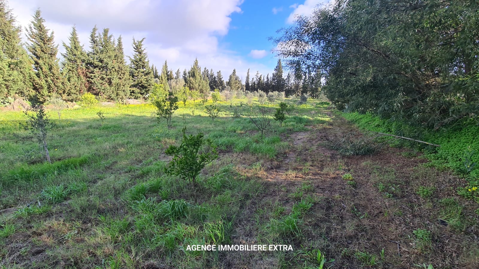 Terrain&nbsp;Terrain agricole