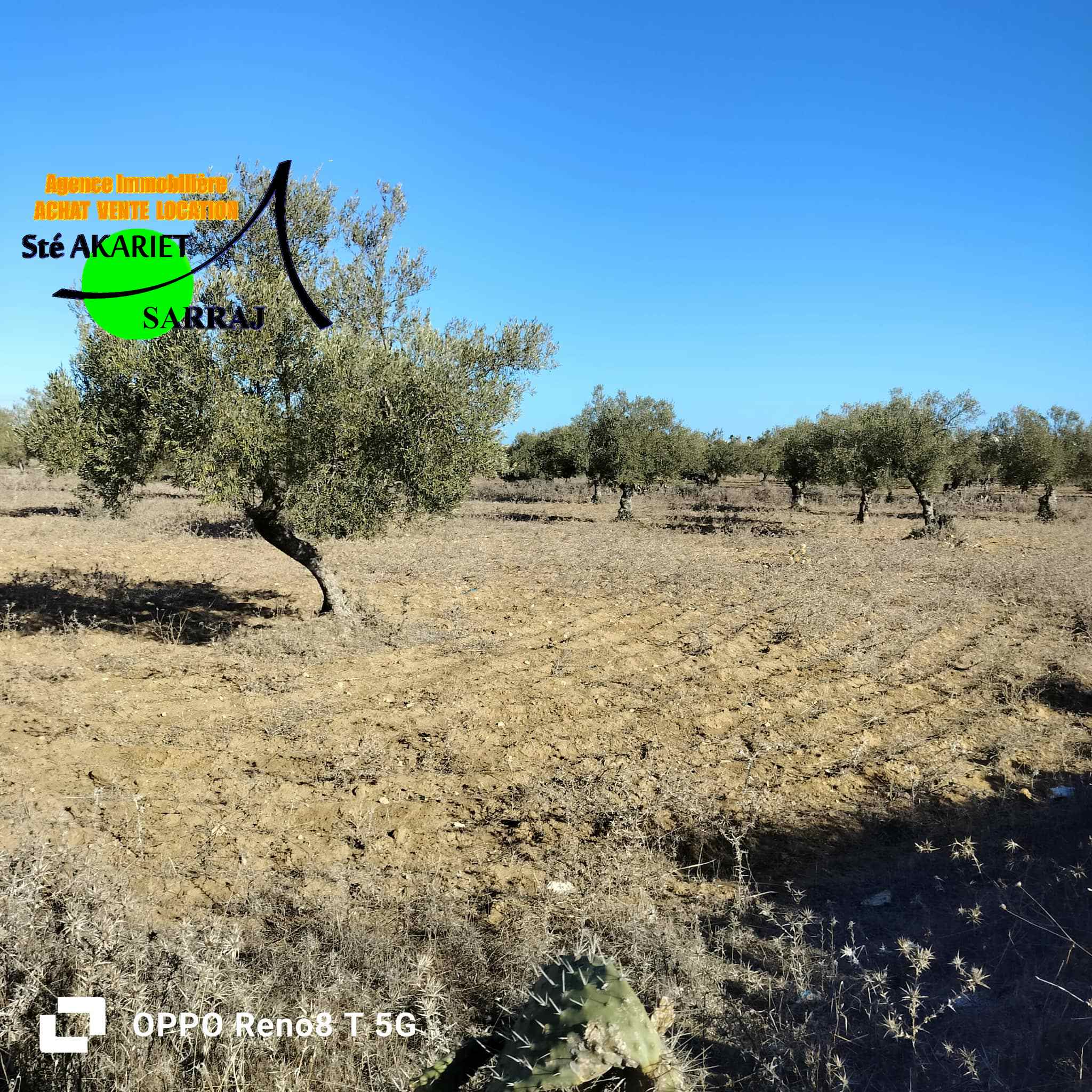 Hergla&nbsp;Hergla&nbsp;Terrain&nbsp;Terrain agricole&nbsp;Lot d'investissement 1200m derri�re karting hergla