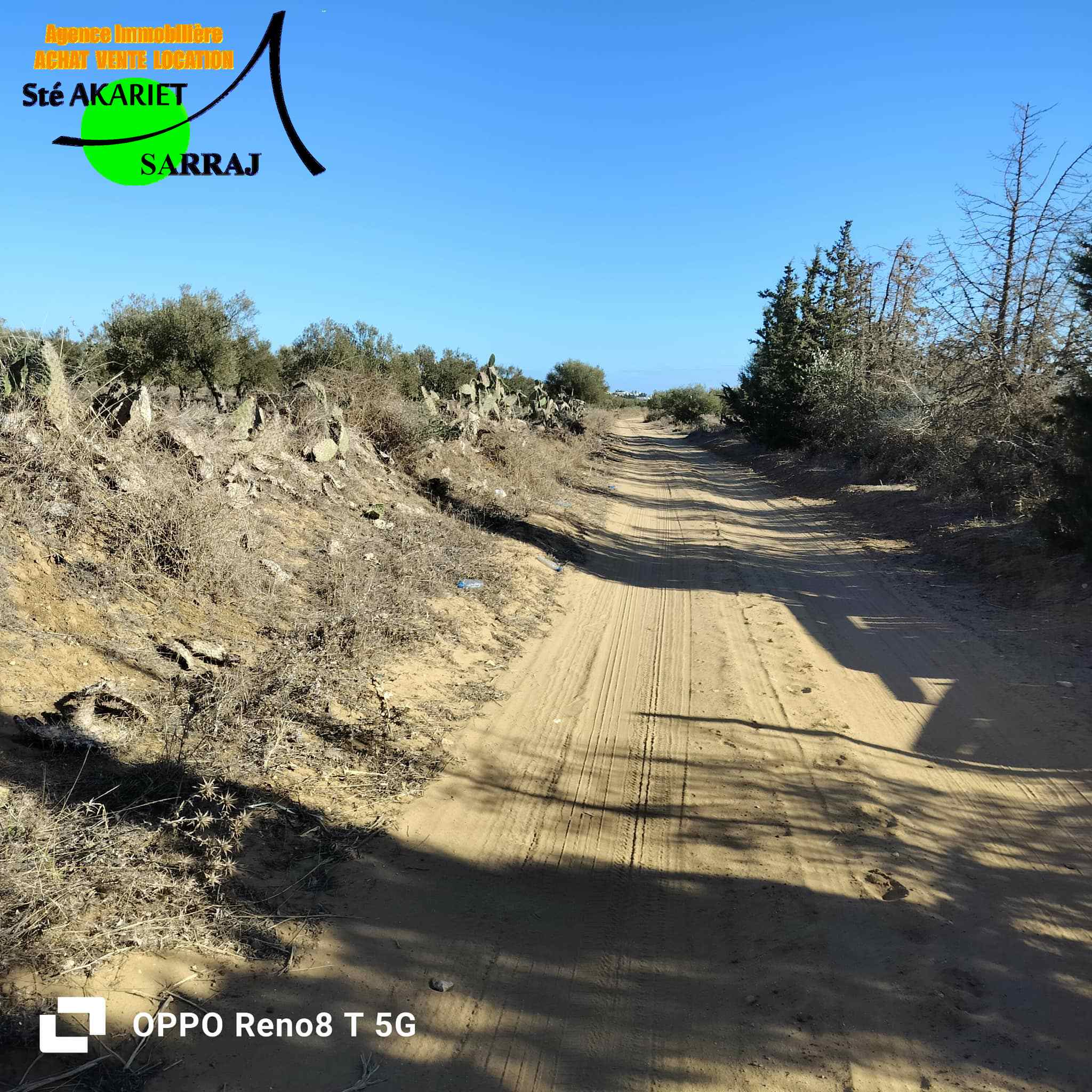 Hergla&nbsp;Hergla&nbsp;Terrain&nbsp;Terrain agricole&nbsp;Lot d'investissement 1200m derri�re karting hergla