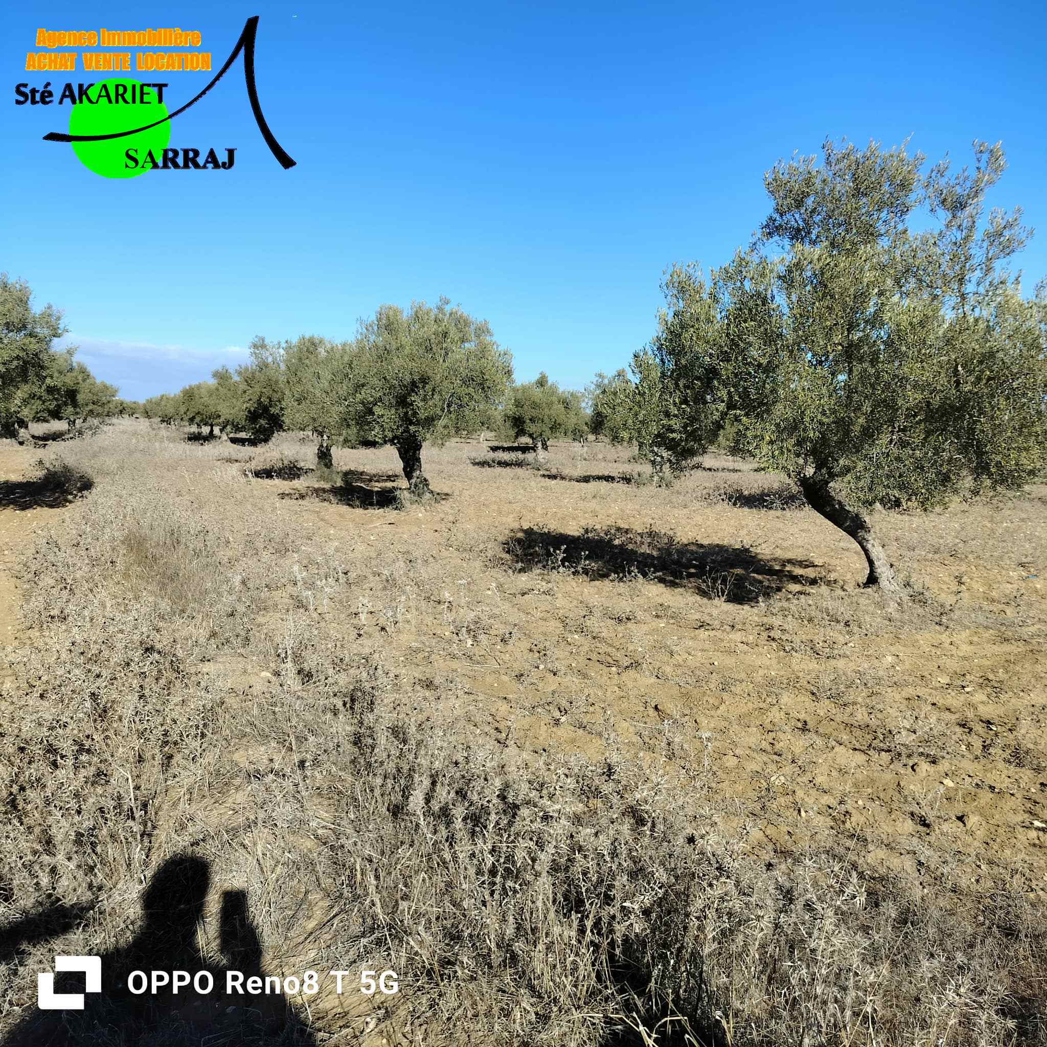 Terrain&nbsp;Terrain agricole