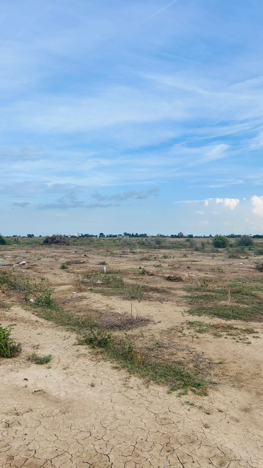 Terrain&nbsp;Terrain nu