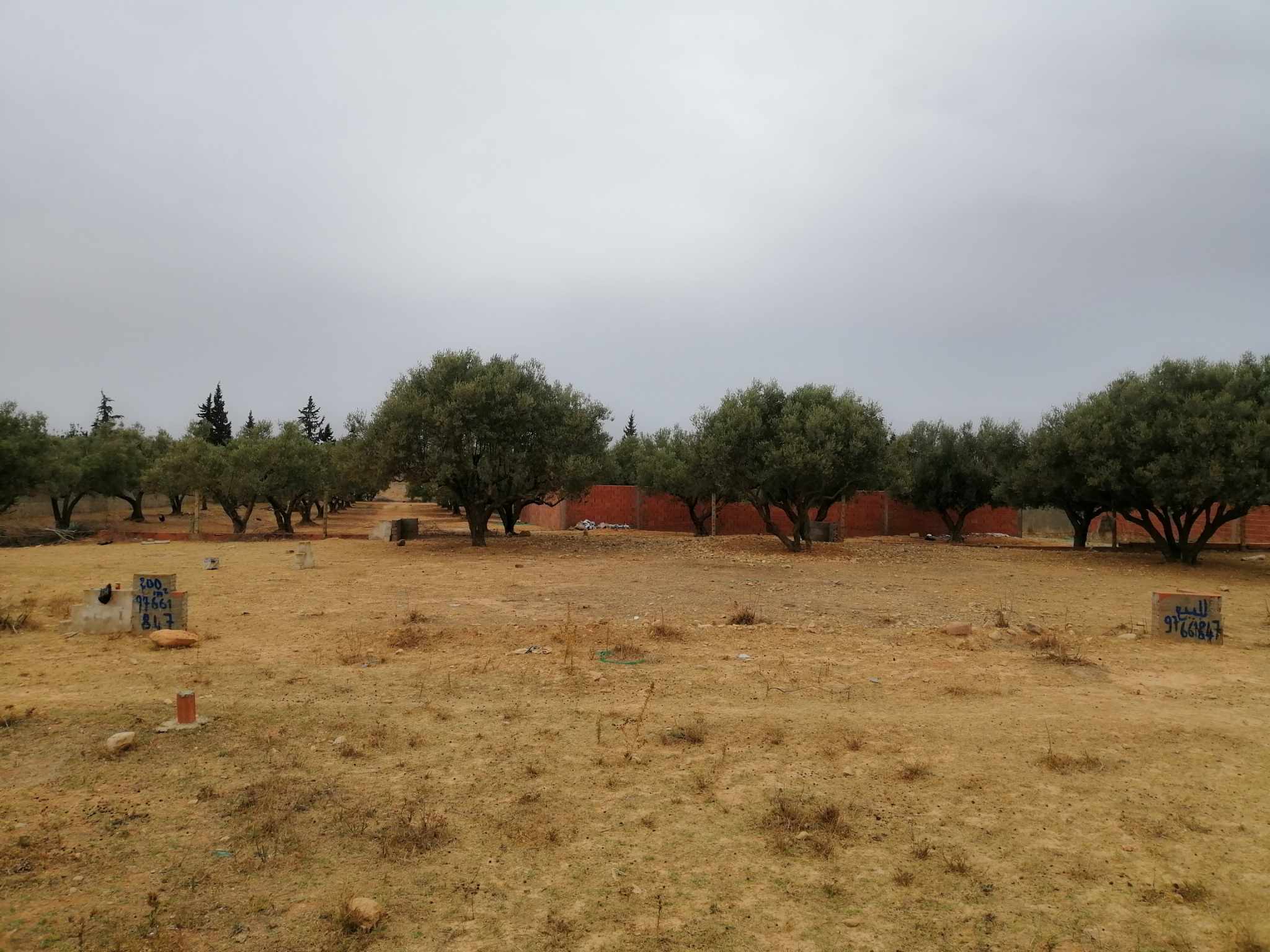 Oued Ellil&nbsp;Oued Ellil&nbsp;Terrain&nbsp;Terrain nu&nbsp;Terrain a oued ellil