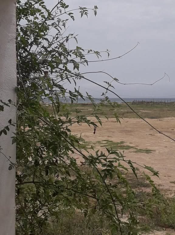 Location&nbsp;Appart. 2 pi�ces