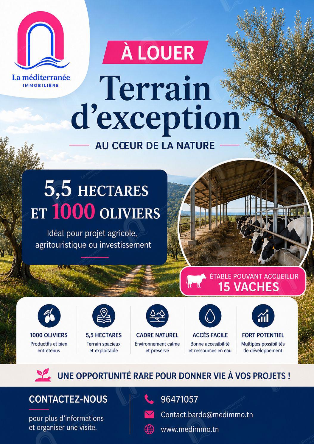Location&nbsp;Autre