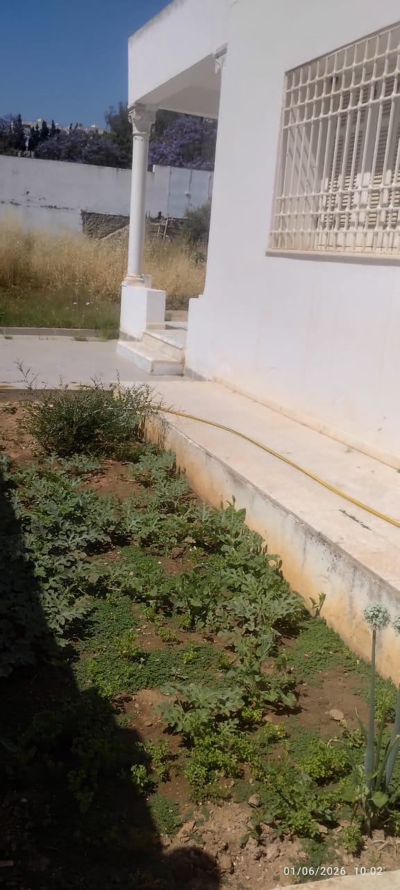 El Menzah&nbsp;El Manar 2&nbsp;Location&nbsp;Maisons&nbsp;Joli villa s3