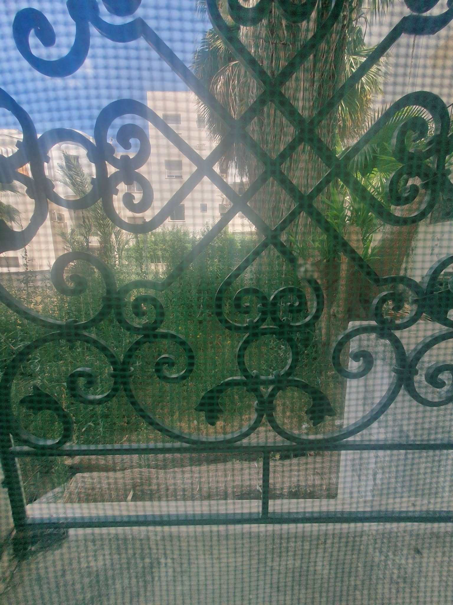 Location&nbsp;Appart. 1 pi�ce