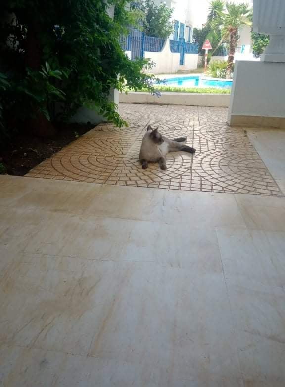 Location vacances&nbsp;Appart. 2 pi�ces