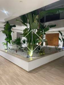 Ariana Ville&nbsp;Cite Ennasr 2&nbsp;Location&nbsp;Appart. 1 pi�ce&nbsp;Appartement s1    cit ennasr ref331a