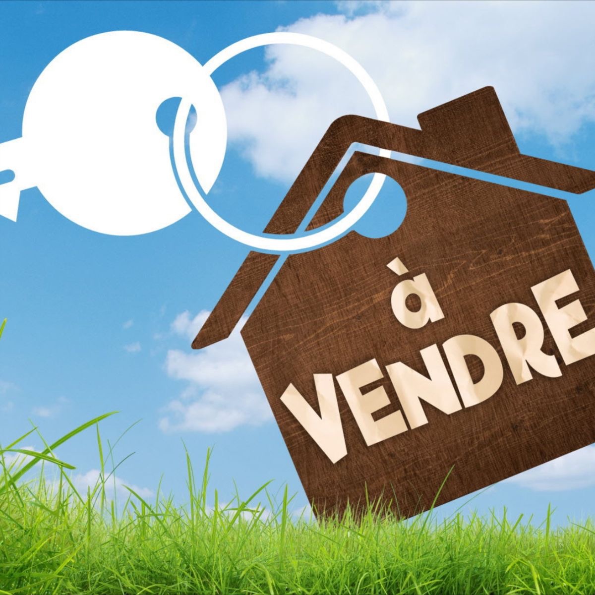 Vente&nbsp;Surfaces