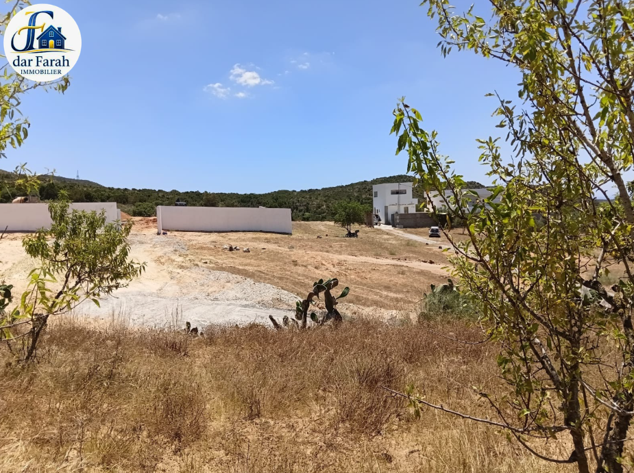 Terrain&nbsp;Terrain agricole