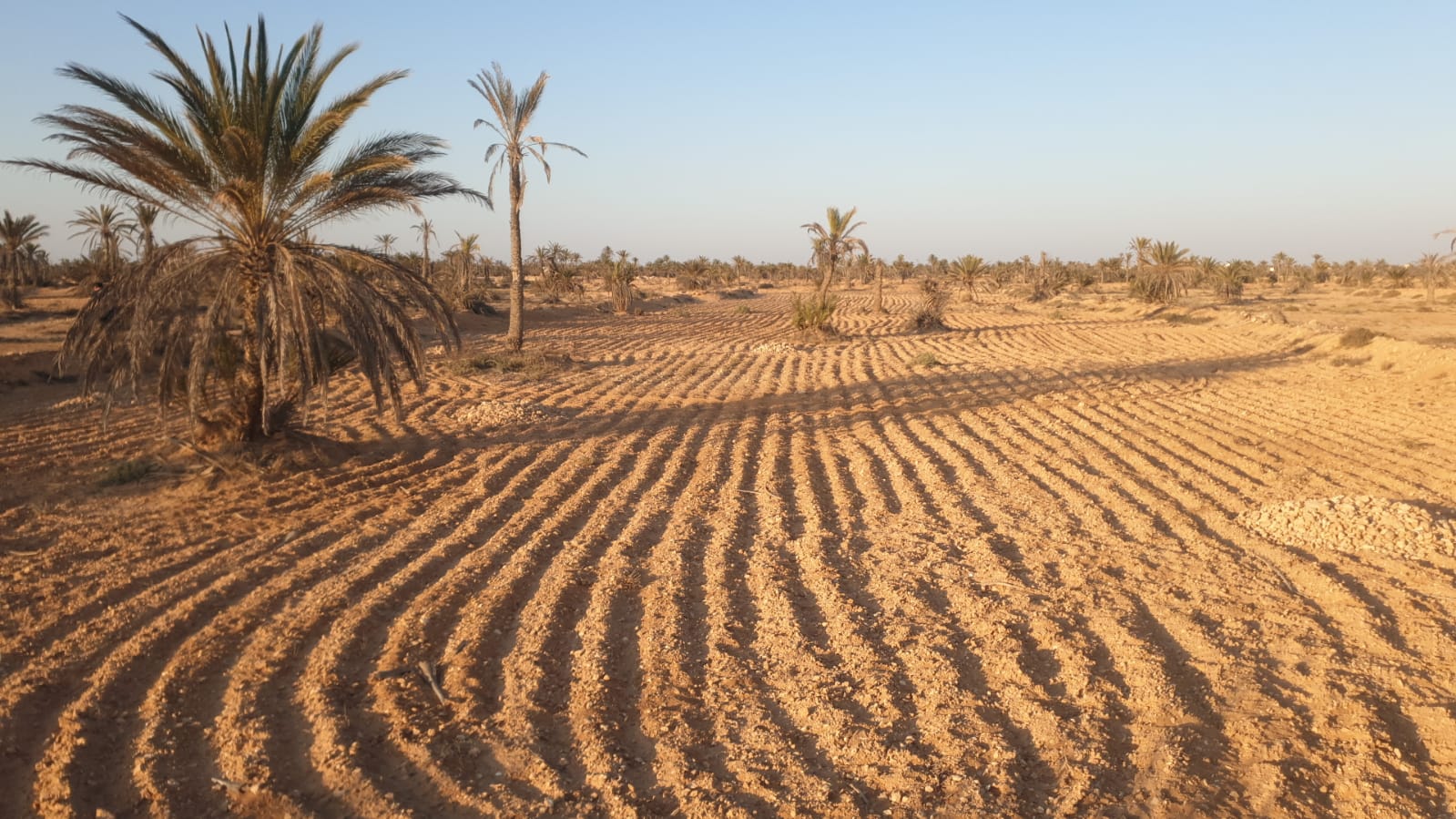 Terrain&nbsp;Terrain nu