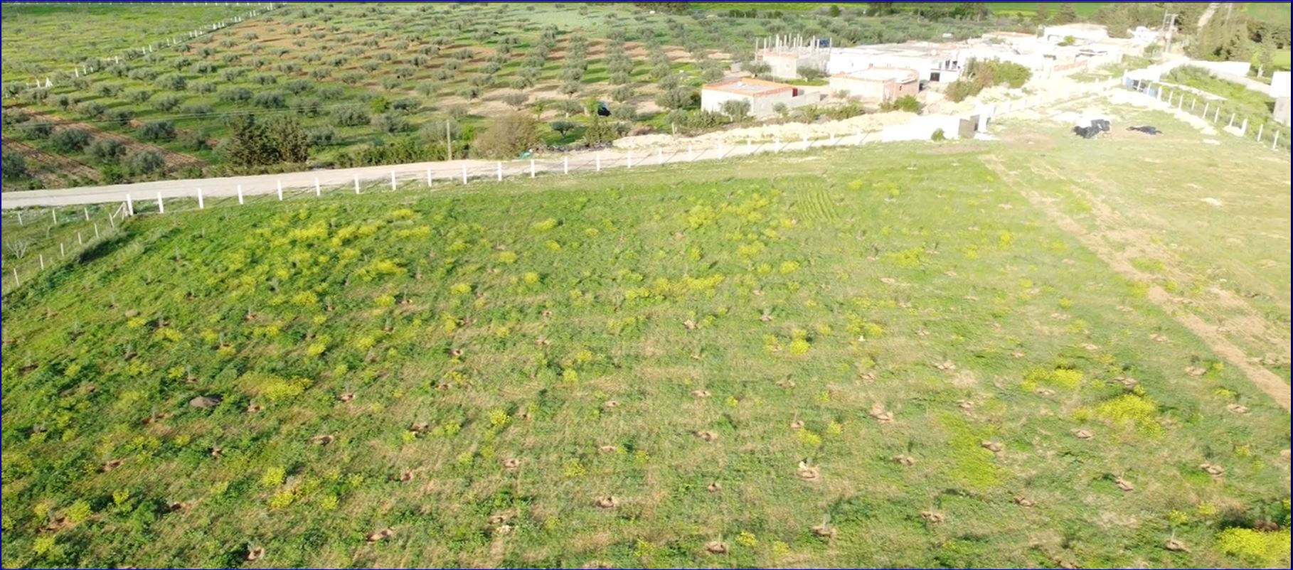 Borj El Amri&nbsp;Drijette&nbsp;Terrain&nbsp;Terrain agricole&nbsp;Terrain agricole 2 hectares  borj el amri