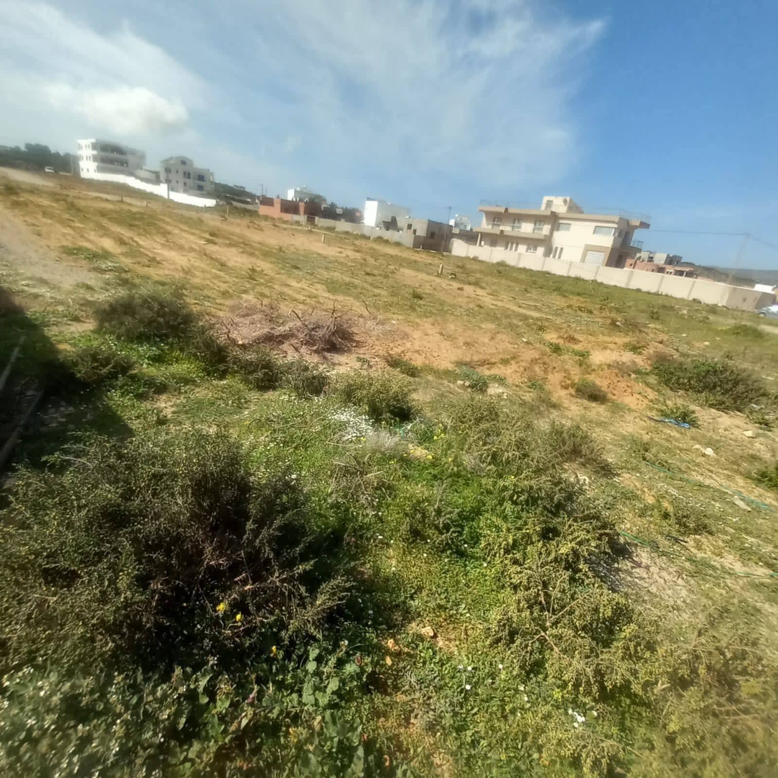 El Haouaria&nbsp;El Haouaria&nbsp;Terrain&nbsp;Terrain nu&nbsp;Offre terrain chat el 9ebli