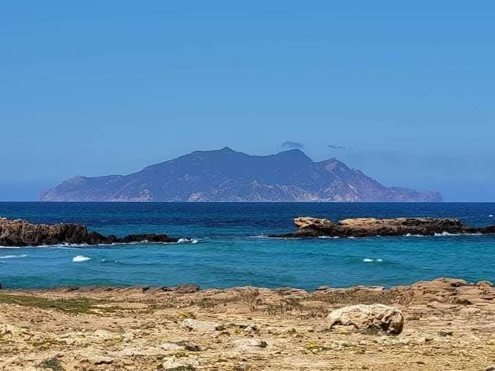El Haouaria&nbsp;Sidi Daoud&nbsp;Terrain&nbsp;Terrain agricole&nbsp;Offre haouaria