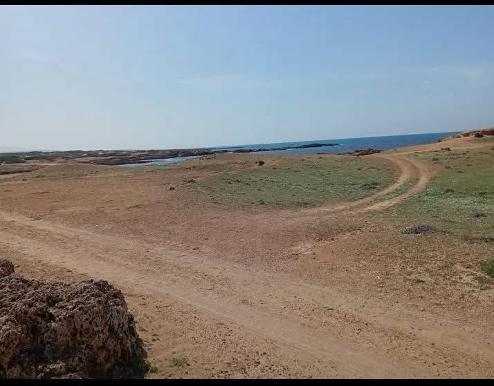 Terrain&nbsp;Terrain agricole