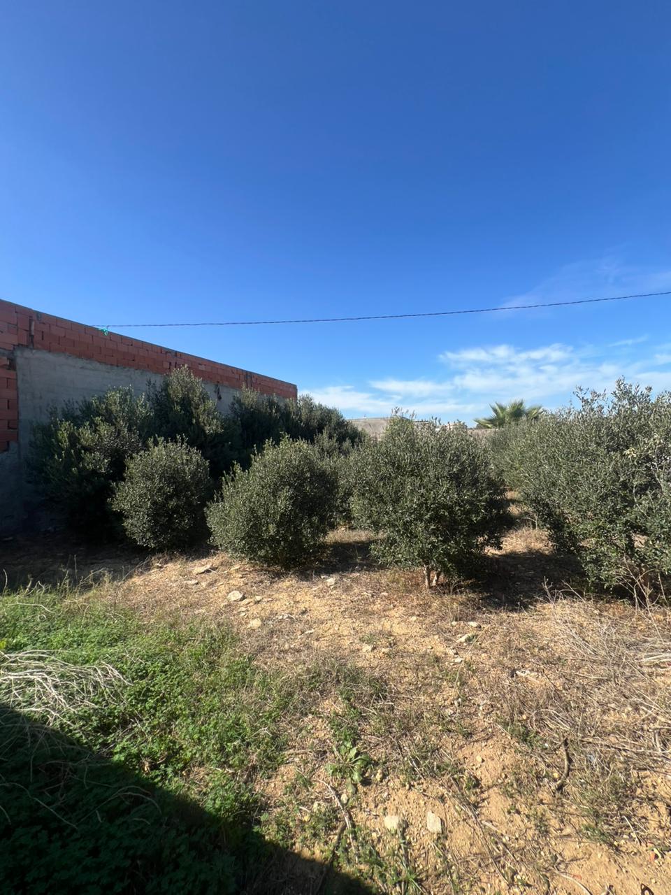 Kelibia&nbsp;Kelibia&nbsp;Terrain&nbsp;Terrain agricole&nbsp;Terrain hamem ghzez